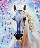  - AKCIA!!! Maľovanie podľa čísel na plátno na ráme, 50x40 cm (kôň pod čerešňou) - 15572082_