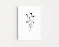 Grafika - Akvarelový art print na stenu - Fialové lúčne kvety - 15571779_