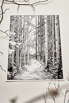 Obrazy - V korunách stromov - Art print originálnej perokresby - 15572261_