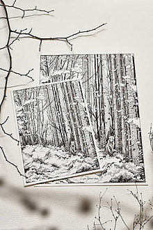 Obrazy - Medzi stromami - Art print originálnej perokresby - 15572328_