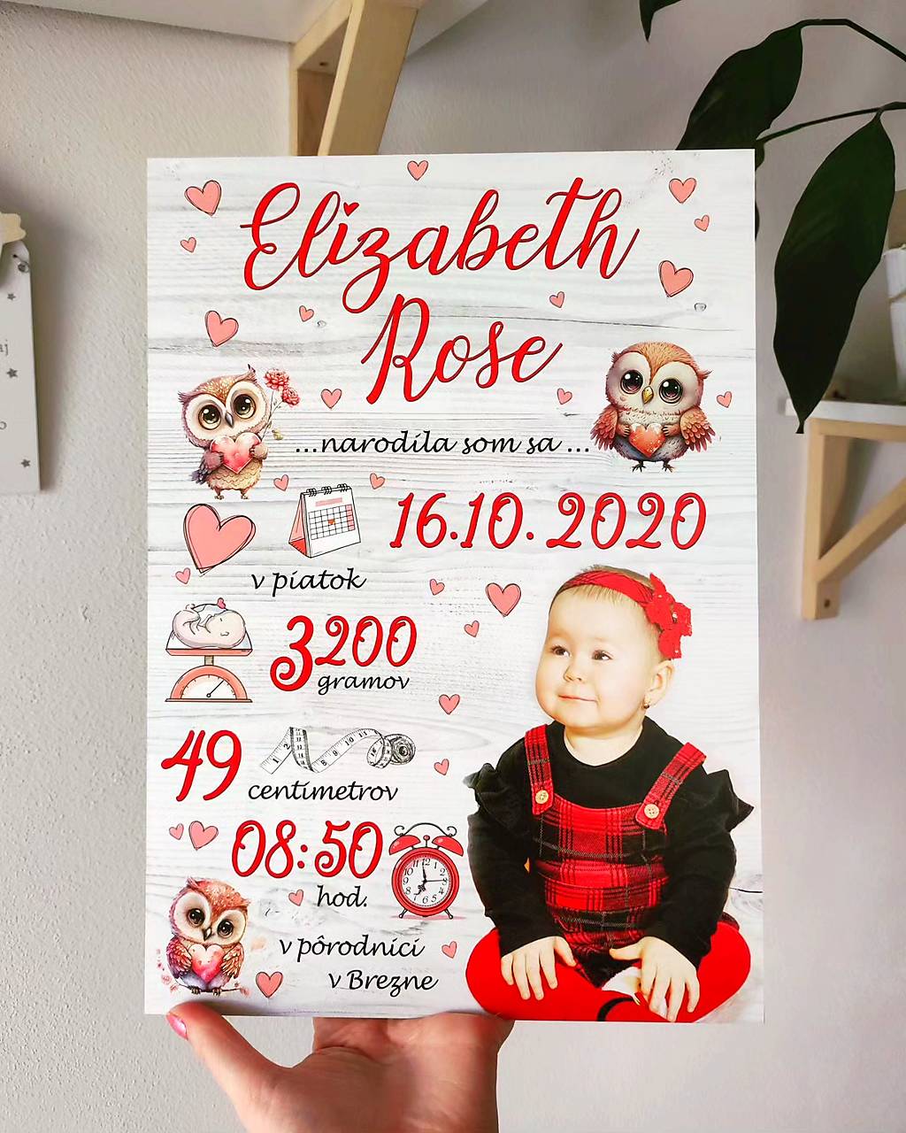 Detská tabuľka, tabuľka pre dieťa s údajmi o narodení dieťatka (Sivé pozadie, červené písmo, sovičky)