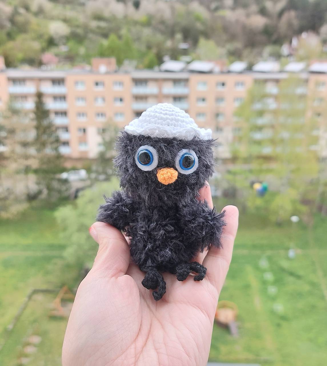 kuriatko ala Calimero