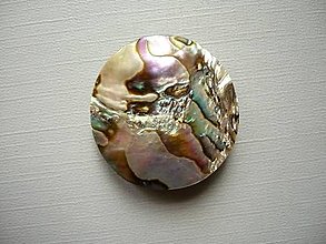 Minerály - Kabošon - paua mušle 30 mm, č.2f - 15583736_