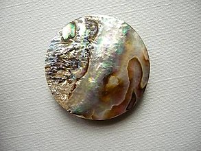 Minerály - Kabošon - paua mušle 29 mm, č.5f - 15583748_