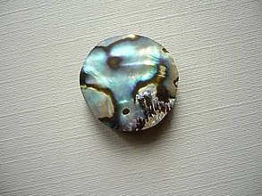 Minerály - Kabošon - paua mušle 20 mm, č.22f - 15583799_