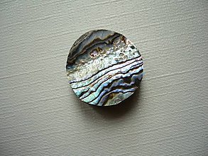 Minerály - Kabošon - paua mušle 18 mm, č.24f - 15583803_