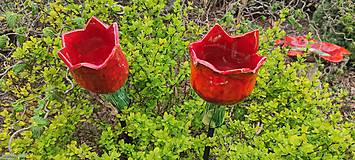 Sochy - Zápich tulipán - 15585591_