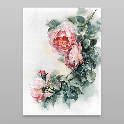 Obrazy - Originálna akvarelová maľba "Pink Roses" - 15587581_