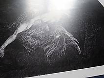 Kresby - Coierit cum draconis - print - 15589712_