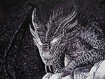 Kresby - Coierit cum draconis - print - 15589713_