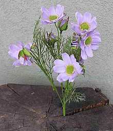 Iný materiál - Lúčne kvety 40cm - dekorácia (Fialová) - 15593694_