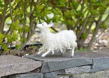 Dekorácie - Ovce párik, väčšie - 15597959_