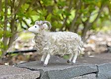 Dekorácie - Ovce párik, väčšie - 15597961_