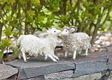 Dekorácie - Ovce párik, väčšie - 15597968_