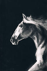 Obrazy - Kôň A. (reprodukcia) - 15597789_