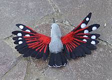 Dekorácie - Murárik červenokrídly  (Murárik - roztiahnuté krídla) - 15601490_