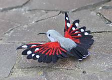 Dekorácie - Murárik červenokrídly  (Murárik - roztiahnuté krídla) - 15601491_