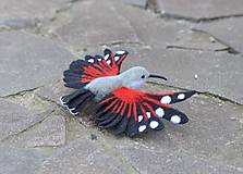 Dekorácie - Murárik červenokrídly  (Murárik - roztiahnuté krídla) - 15601492_