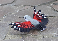 Dekorácie - Murárik červenokrídly  (Murárik - roztiahnuté krídla) - 15601505_