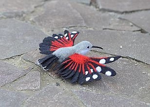 Dekorácie - Murárik červenokrídly  (Murárik - roztiahnuté krídla) - 15601492_