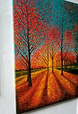 Obrazy - Jesenné slnko (70x50) - 15602031_