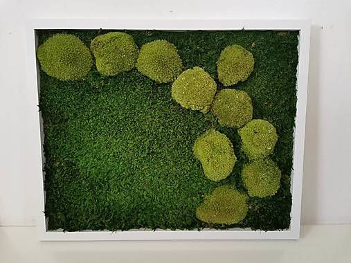 Dekorácie - Machový obraz 43x53. č.3 - 15603765_
