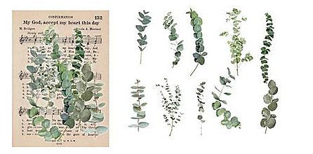 Papier - NA104 Sada veľkých nálepiek - kvietky priesvitné 10 kusov (7) - 15611191_