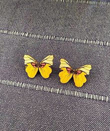 Brošne - Brošnička motýlik - 15615842_