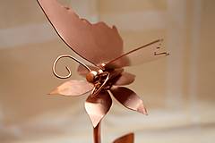Dekorácie - Rustikálna kovová dekorácia - Motýľ na kvete - 15623570_