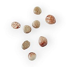 Korálky - Oválny kamienok s dierkou 2,5 cm - Béžový CAN0149B - 15624931_