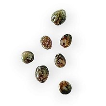Korálky - Oválny kamienok s dierkou 2,5 cm - Šedý CAN0149S - 15629447_