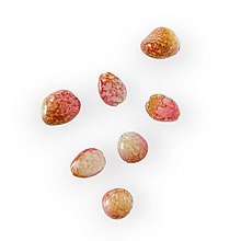Korálky - Oválny kamienok s dierkou 2,5 cm - Ružový CAN0149R - 15629448_