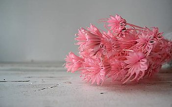 Suroviny - Nigella - farba ružová - 15627468_