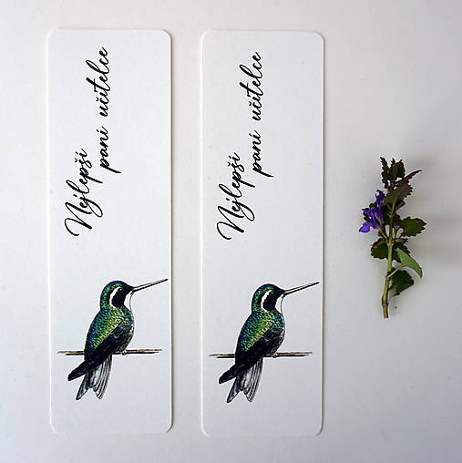 Záložka - kolibřík (zelený) pro paní učitelku