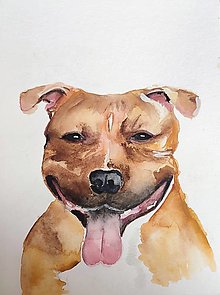 Kresby - psíček ☺️ - portrét - 15632962_