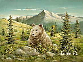 Obrazy - Obraz Kriváň s medveďom Vysoké Tatry, VBart - 15640538_
