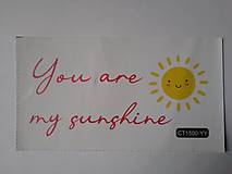 Papier - Nálepka You are my sunshine - 15639858_