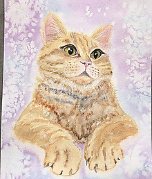 Obrazy - Mačka maľovaný akvarelový obraz 087 - 15642540_