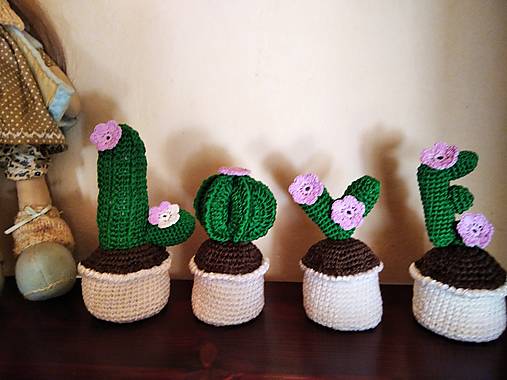 Love - kaktusy