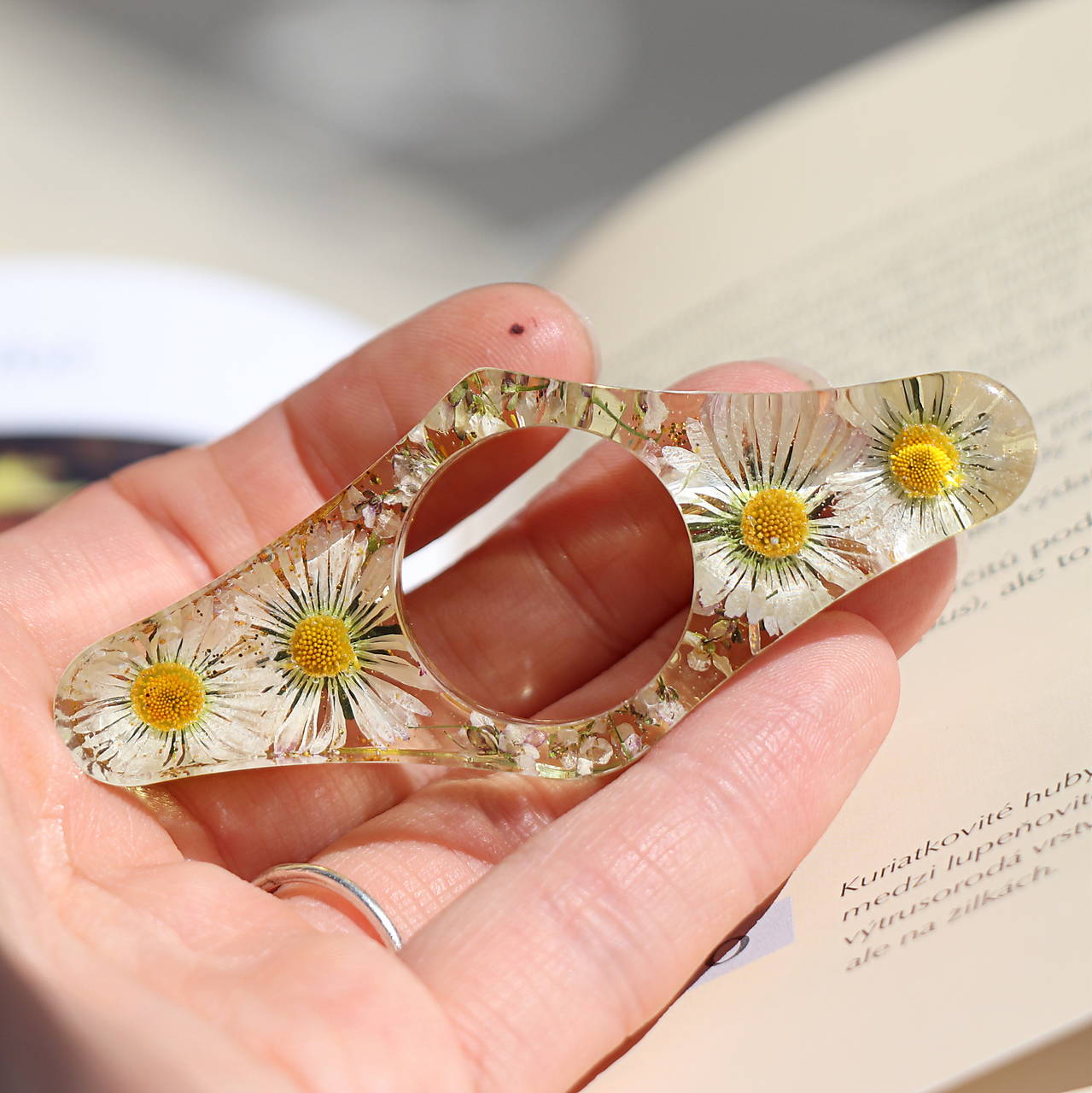 Bookholder Sedmokrásky