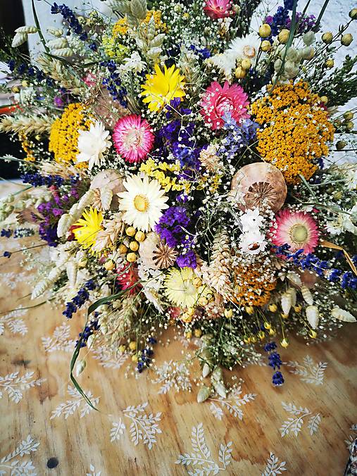  - Kytica  - 15653670_