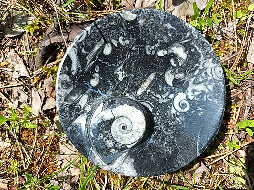 Nádoby - Orthoceras-miska - 15653540_