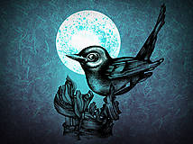 Grafika - Moon blackbird - 15652568_