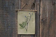 Dekorácie - Keramický obrázok Botanika - 15656854_