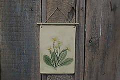 Dekorácie - Keramický obrázok Botanika - 15656858_
