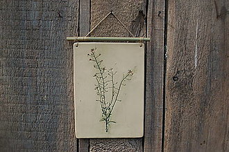 Dekorácie - Keramický obrázok Botanika (Pastierska kapsička) - 15656862_