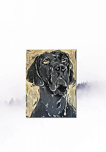 Obrazy - Pop-artový psí portrét nemeckej dogy obraz - WOODOO - 15666082_