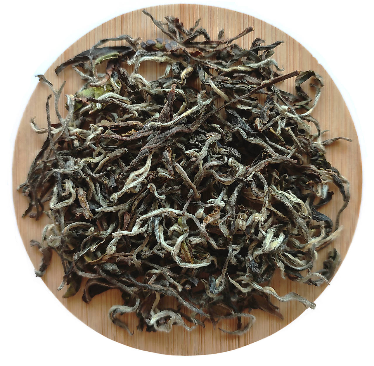 Darjeeling Rohini Jethi Kupi First Flush 2023