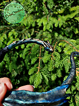 Náhrdelníky - Dračí obručový náhrdelník s bronzovo-modrým Drakom - 15679133_