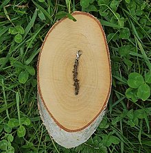 Náhrdelníky - Prívesok záhneda hematit - 15686030_